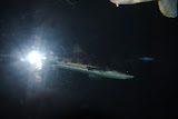 DSC_0446.JPG