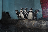 DSC_0467.JPG