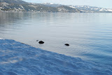 DSC_0064.JPG