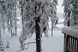 DSC_0082.JPG