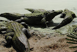 DSC_0065.JPG