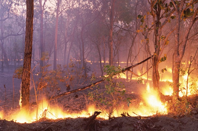 [incendio[6].jpg]
