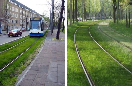 [grasstram-comp01[3].jpg]