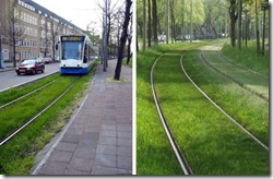 grasstram-hollanda2