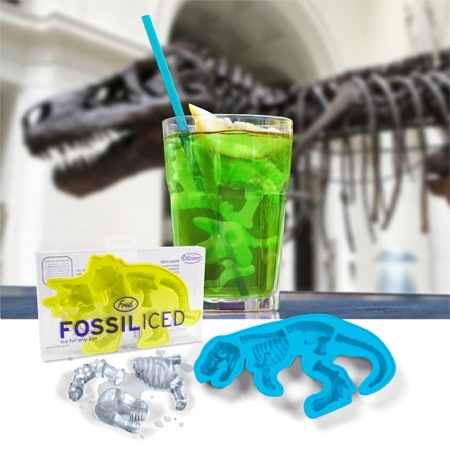[icecubetrays053.jpg]