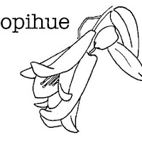 COPIHUE.JPG