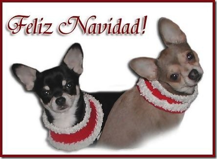 blogdeimagnenes.com gifs navidad (5) blogdeimagnenes.com gifs navidad (5)