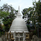 DSC00453.JPG