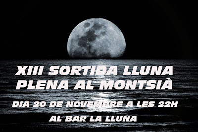 Cartell Cartell Lluna Plena 2010