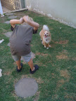 Where's the bone?