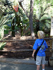 DINO MOUNTAIN! Look out, this dinosaur spits!