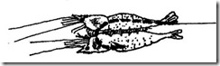 ENSARNAR QUISQUILLA