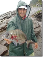 sargo kilero borobia