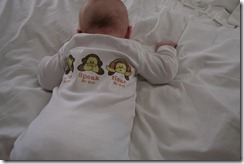 IMG_4804 IMG_4804