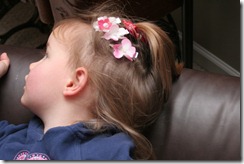 IMG_4348 IMG_4348