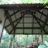 IMG_4429.JPG