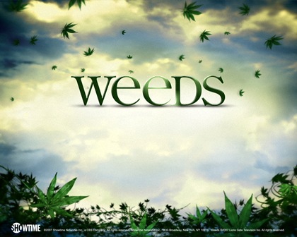 weeds-wall-weeds-1015221_1280_1024