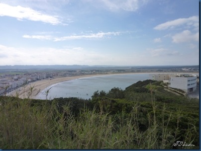 P1060235 P1060235