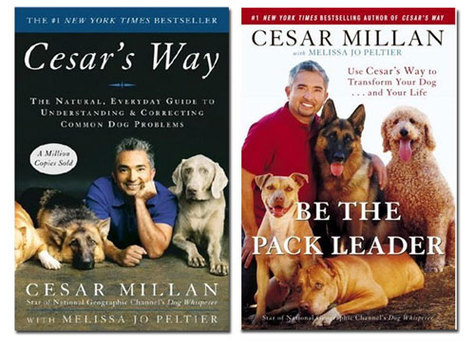[Cesar's Way Be the Pack Leader[2].png]