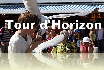 Le vol des mouettes