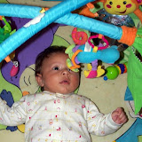 100_1453.jpg
