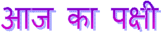 [clip_image002[3].gif]