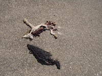 20060710 064.jpg