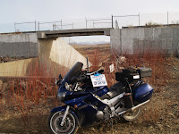 wolf_0022b.JPG