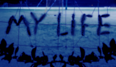 My Life myLife
