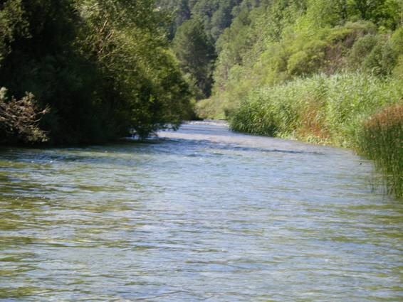 [clip_image016[4].jpg]