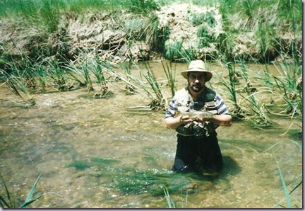 clip_image002 clip_image002