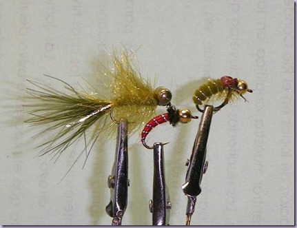 clip_image006 clip_image006