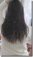Jan 15-16, 2010 012