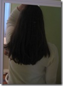Jan 15-16, 2010 041