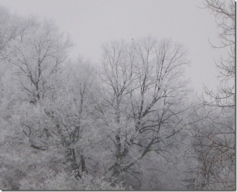 Jan 19-20, 2010 011