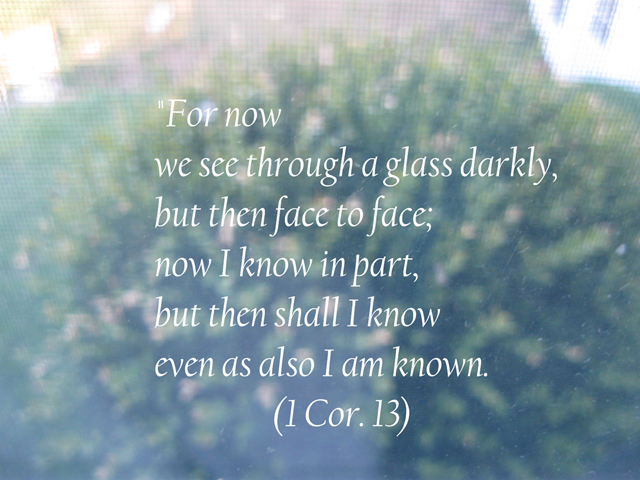 [Through a glass darkly - picture taken 4-14-10[4].png]