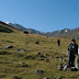 IMG_9386.JPG