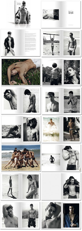 didio book through my eyes didio book through my eyes