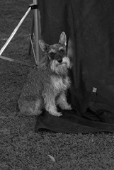 DSC_2020