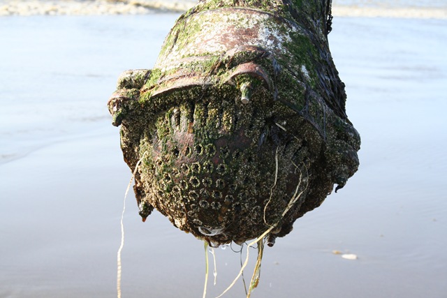 [seaside 082[2].jpg]