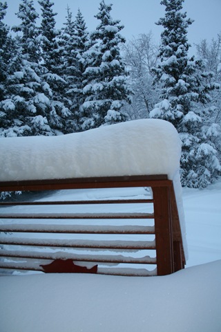 [wintersnow 005[2].jpg]