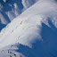 n48100497_30567538_6967.jpg