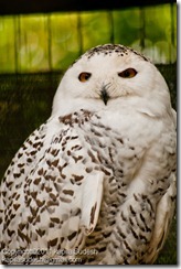 DSC_1846 DSC_1846