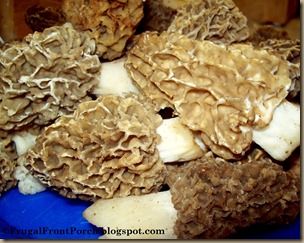 Raw Wild Morel Mushrooms