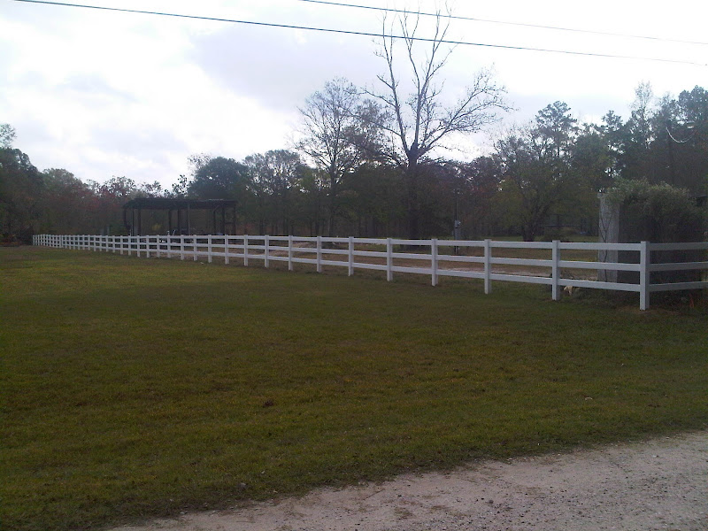 IMG00191-20101122-1017.jpg