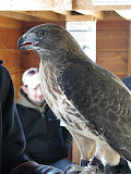 IMG_9396.JPG