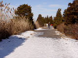 DSC06621.JPG