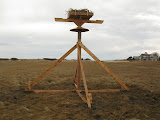 3-8-09,sfs,osprey platform187.JPG