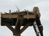 3-8-09,sfs,osprey platform170.JPG