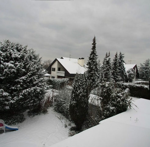 [snow 201001_7671 Panorama (1024x1000)[3].jpg]